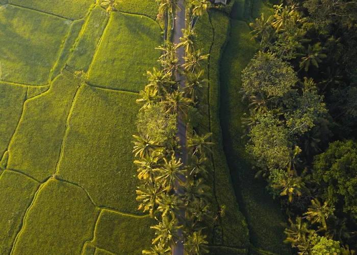 Trivana Sanctuary By Arcada Bali