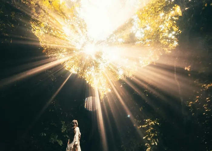 Trivana Sanctuary By Arcada Bali Sidemen (Bali)
